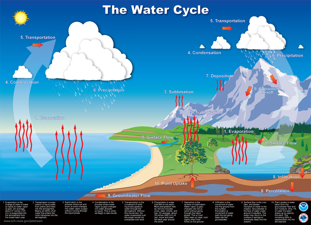 The Water Cycle infographic
